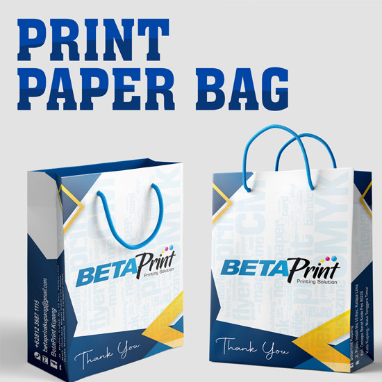 Print Color Paper Bag A3 AP150